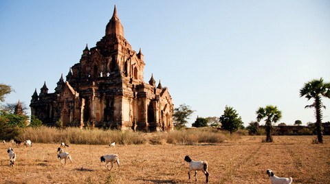 Myanmar'da Tanıdık Bir Restorasyon Tartışması