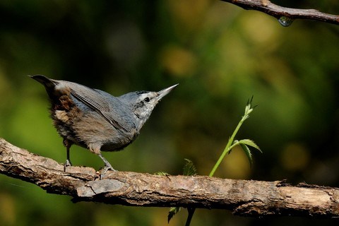 WILO 1. Ulusal Fotoğraf Yarışmasının Ödülleri Sahiplerini Buldu
