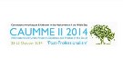 CAUMME 2014: "Post-Profesyonellik Çağında Mimari ve Kentsel Araştırma, Eğitim ve Pratik"