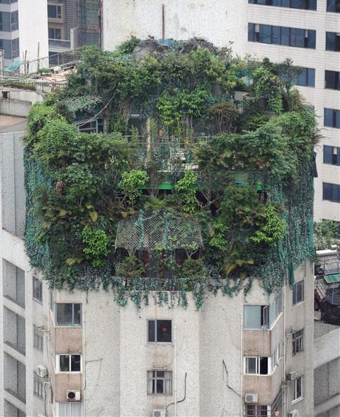 Yaptığı Kaçak Katı Saklamak için Öyle Bir Yöntem Buldu ki!
