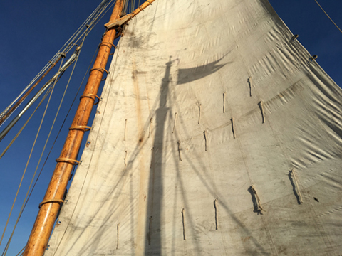 Sanat Kullanımları: Son Sergi