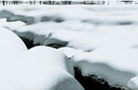 Abbas Kiarostami'nin Dizi Fotoğrafları