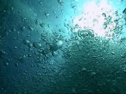 santralistanbul'da Ön Açılış Sergileri