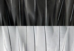 Rebii Yetiş’in “Zoom” Sergisi Avusturya Kültür Ofisi’nde