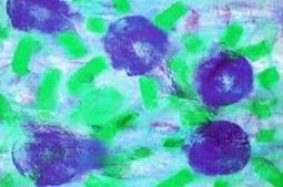 Uluslararası Dünya Ekolojik Koruma Konferansı