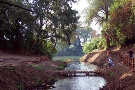 Torsanlorenzo Ödülü 2008