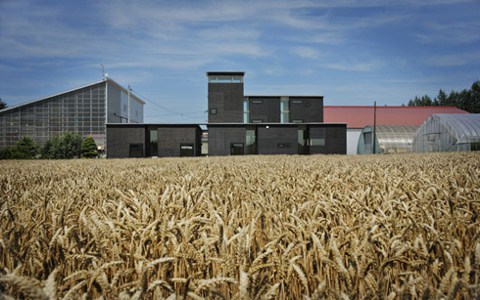 2009 Barbara Cappochin Ödülü'nün Sahibi Konishi Hikohito Oldu