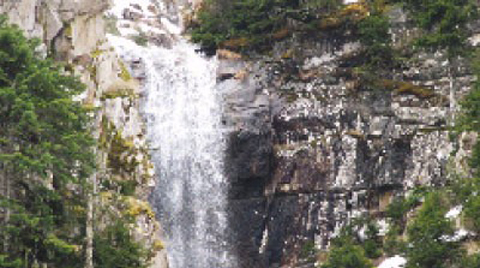 'Tabiatı Bozuk' Tasarı