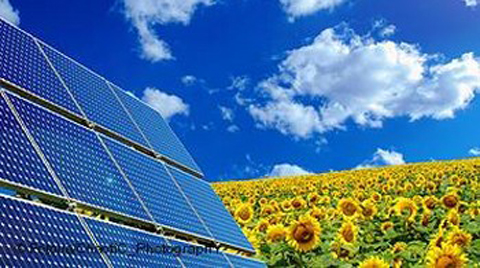 Aşırı Rekabet Güneşi Kararttı