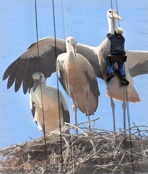 Sağlıklı ve Güvenli İşyerleri Fotoğraf Yarışması 'Riskleri Önlemeye' Odaklanıyor